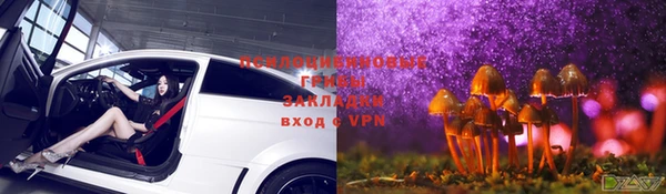 прущие крисы Киренск