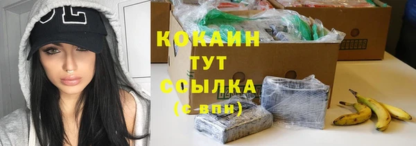 спиды Карталы