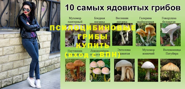 прущие крисы Киренск