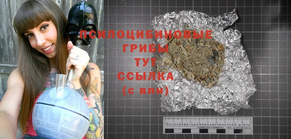 прущие крисы Киренск