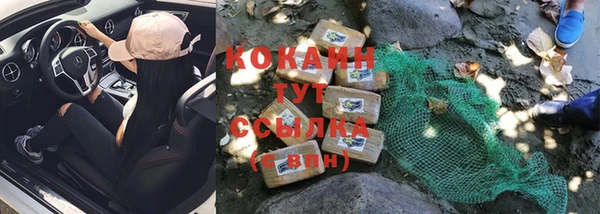 mdpv Козловка