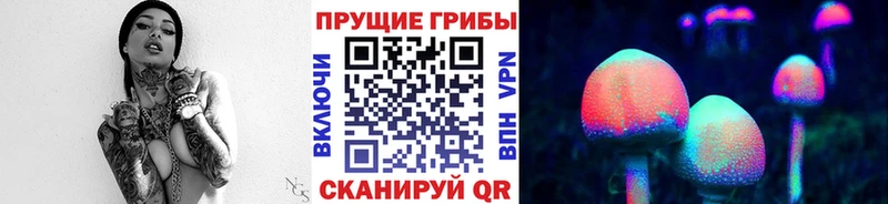 Галлюциногенные грибы Psilocybine cubensis  Чекалин 